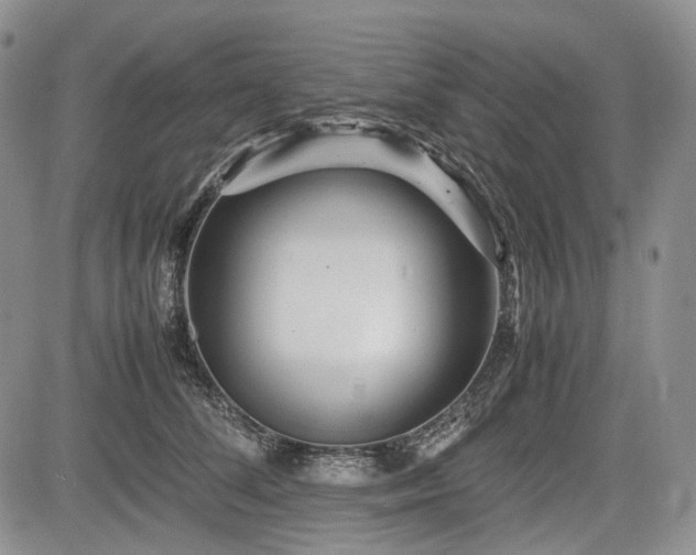 X0000085210708200703161219