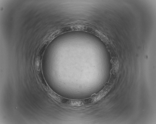 X0000085210709200703161219