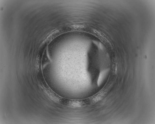 X0000085210710200703161219