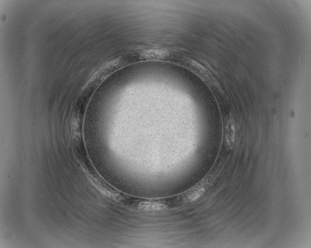 X0000085210714200703161219