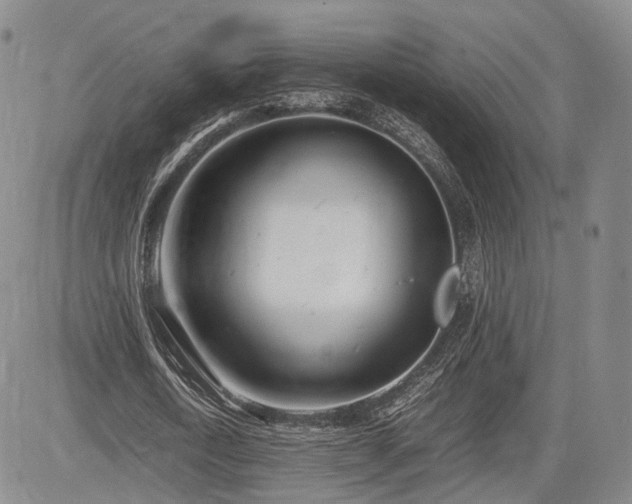 X0000085210722200703161218