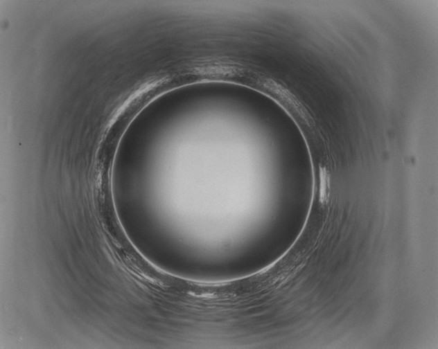 X0000085210723200703161218