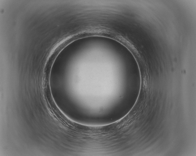 X0000085210724200703161218