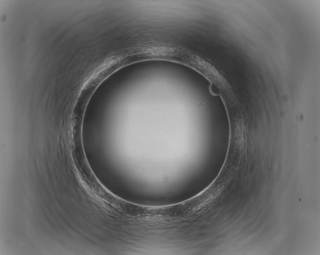 X0000085210730200703161218