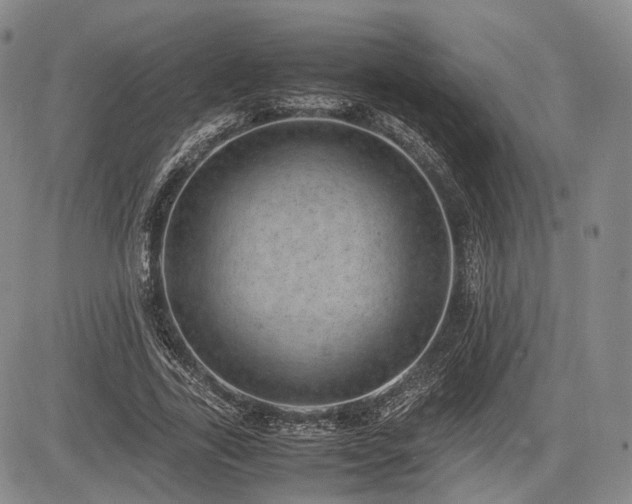 X0000085210731200703161218