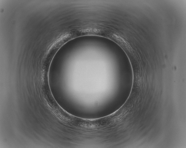 X0000085210735200703161218