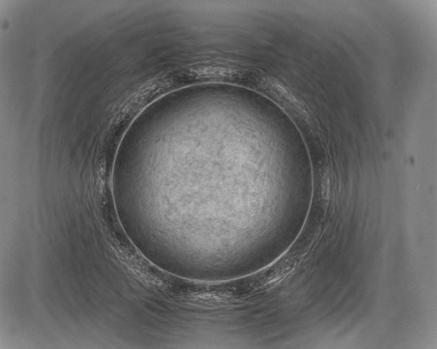 X0000085210737200703161218