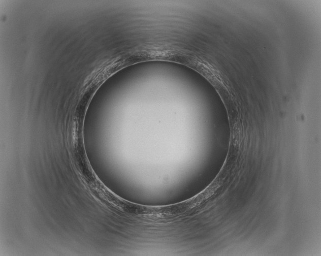 X0000085210740200703161218