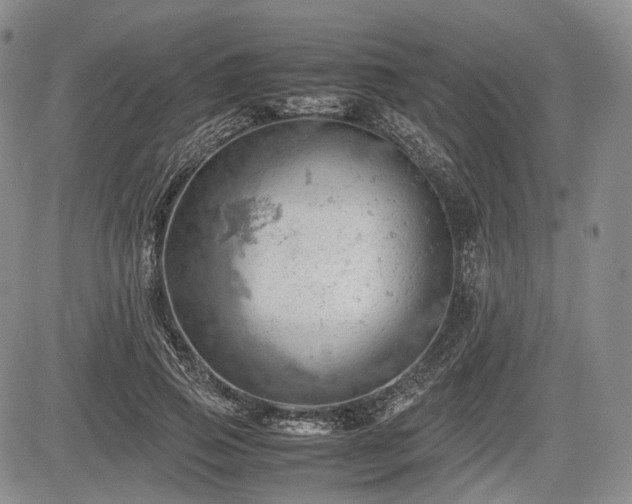 X0000085210741200703161218