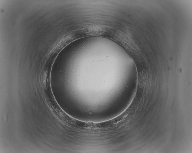 X0000085210742200703161218