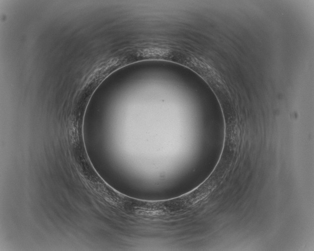 X0000085210743200703161218