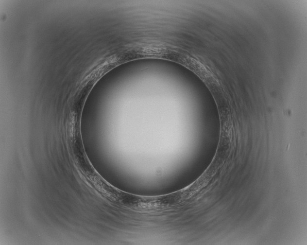 X0000085210744200703161218