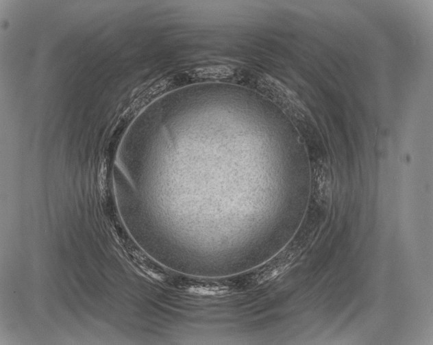 X0000085210745200703161218