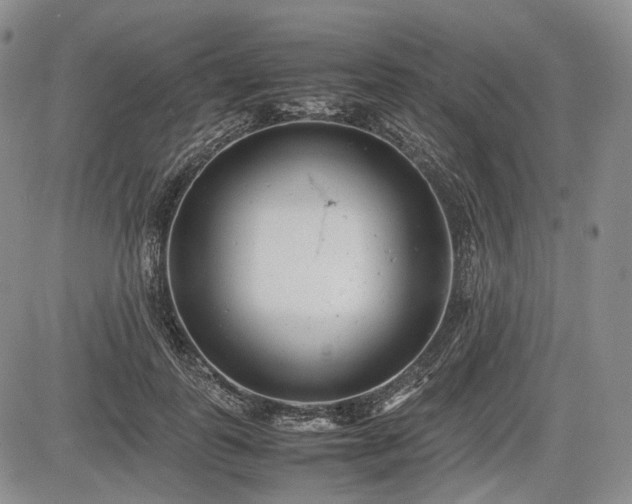 X0000085210747200703161219