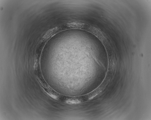 X0000085210749200703161219