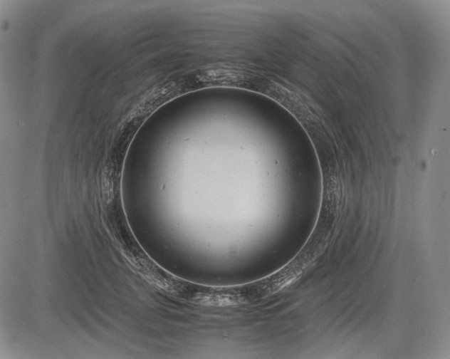 X0000085210751200703161219