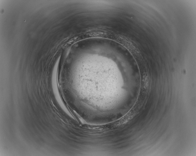 X0000085210753200703161219