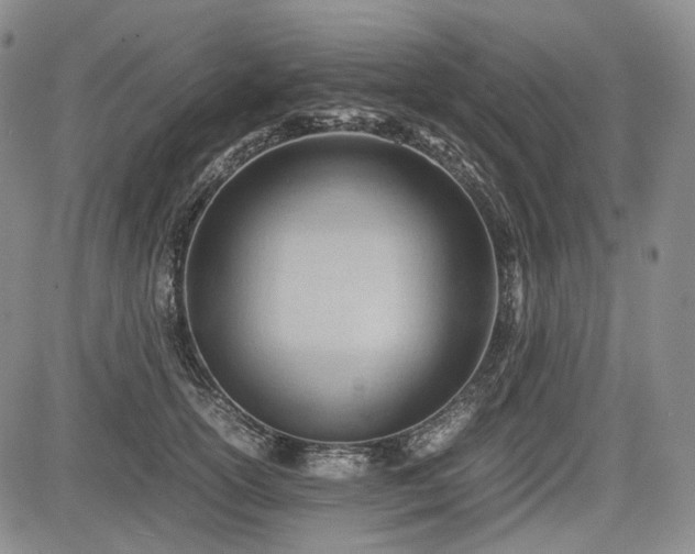 X0000085210754200703161219