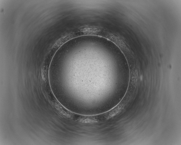 X0000085210755200703161219