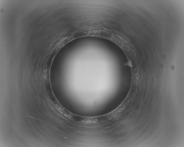 X0000085210756200703161219