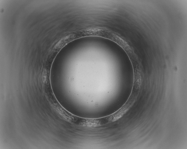 X0000085210758200703161219