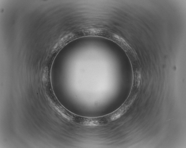 X0000085210760200703161219