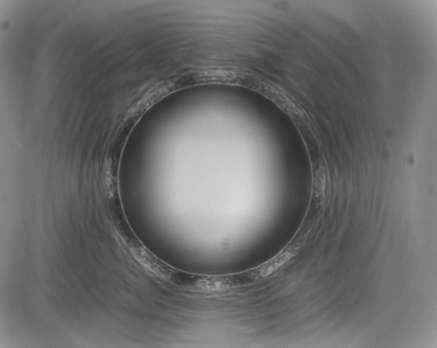 X0000085210764200703161219