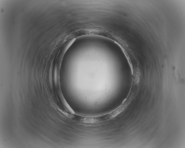 X0000085210766200703161219