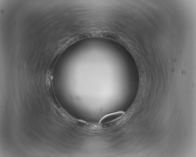 X0000085210768200703161219