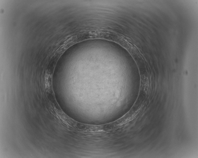 X0000085210770200703161218