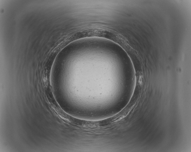 X0000085210771200703161218
