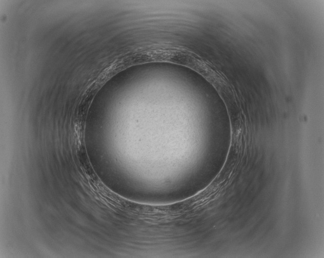 X0000085210772200703161218