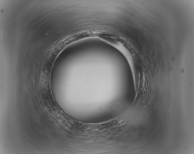 X0000085210773200703161218