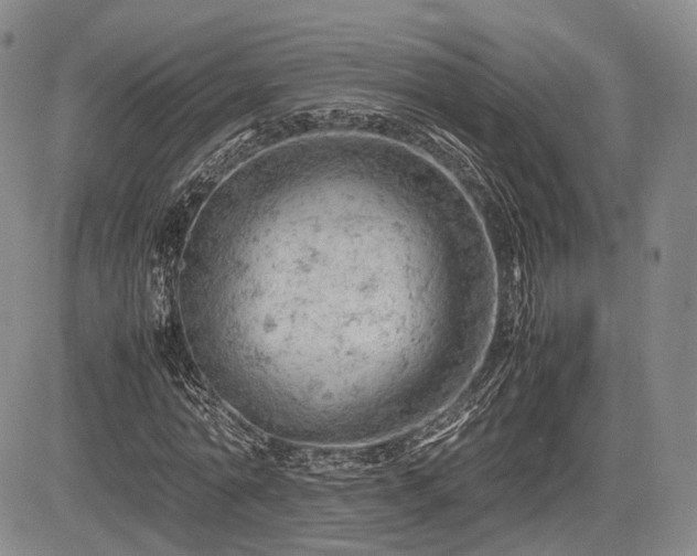 X0000085210774200703161218