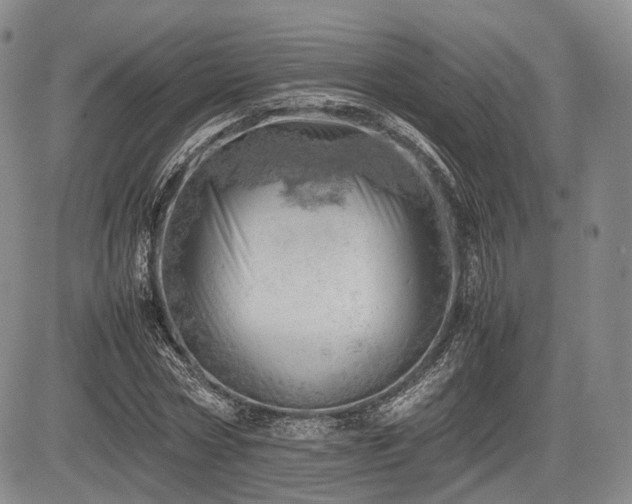 X0000085210778200703161218