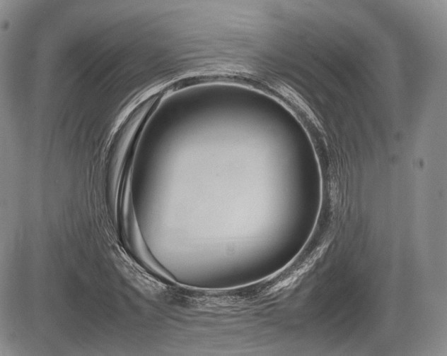 X0000085210781200703161218