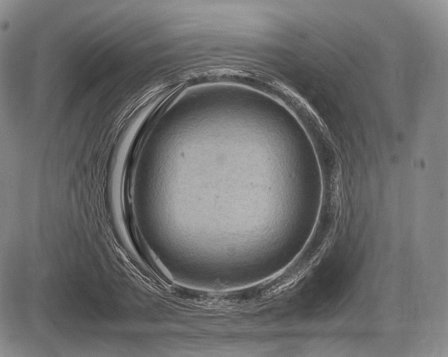 X0000085210785200703161218