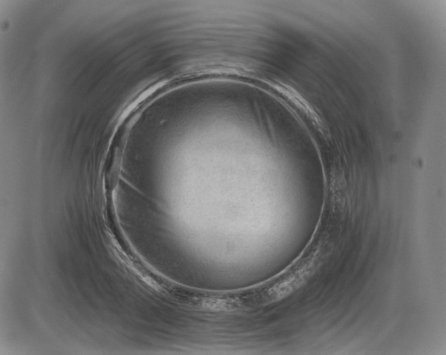 X0000085210790200703161218