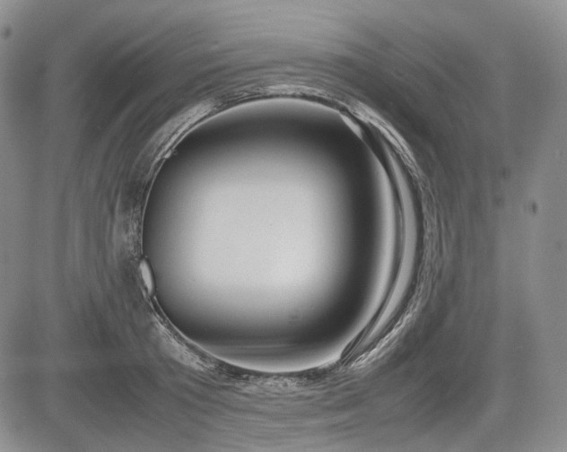 X0000085210801200703161218