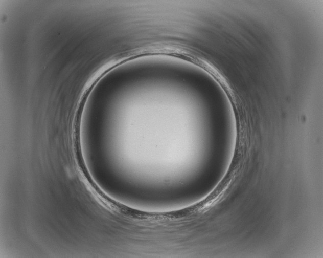 X0000085210803200703161217