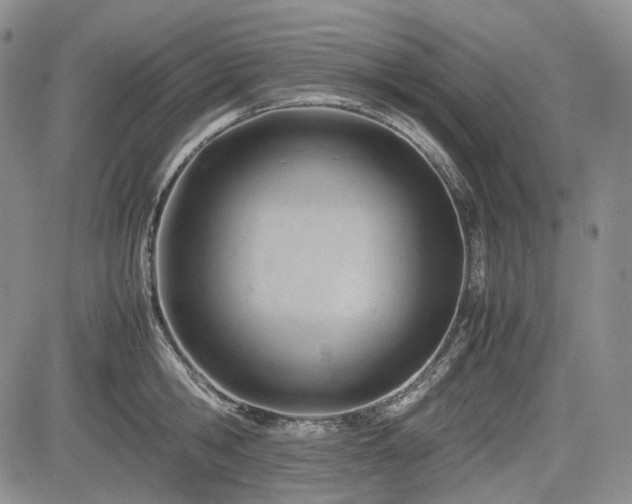 X0000085210806200703161217