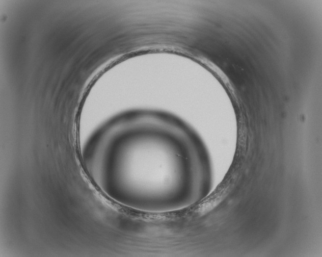 X0000085210807200703161217