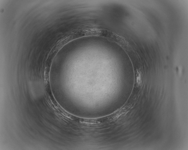 X0000085210819200703161216