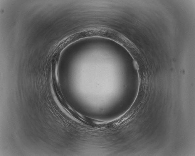 X0000085210822200703161217