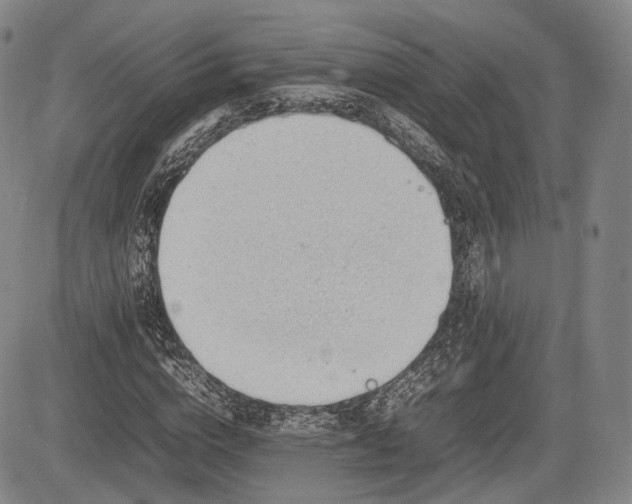 X0000085210824200703161217