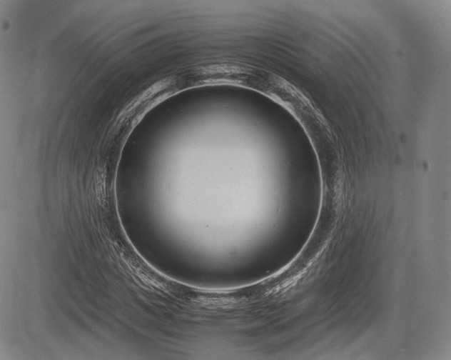 X0000085210825200703161217