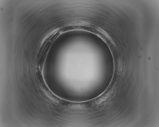 X0000085210826200703161217