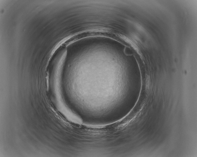 X0000085210829200703161217