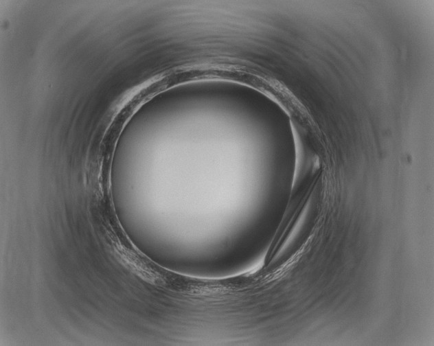 X0000085210830200703161217