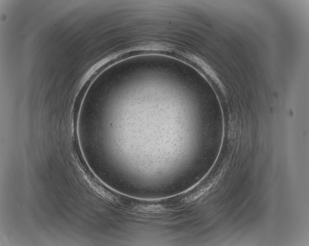 X0000085210837200703161217